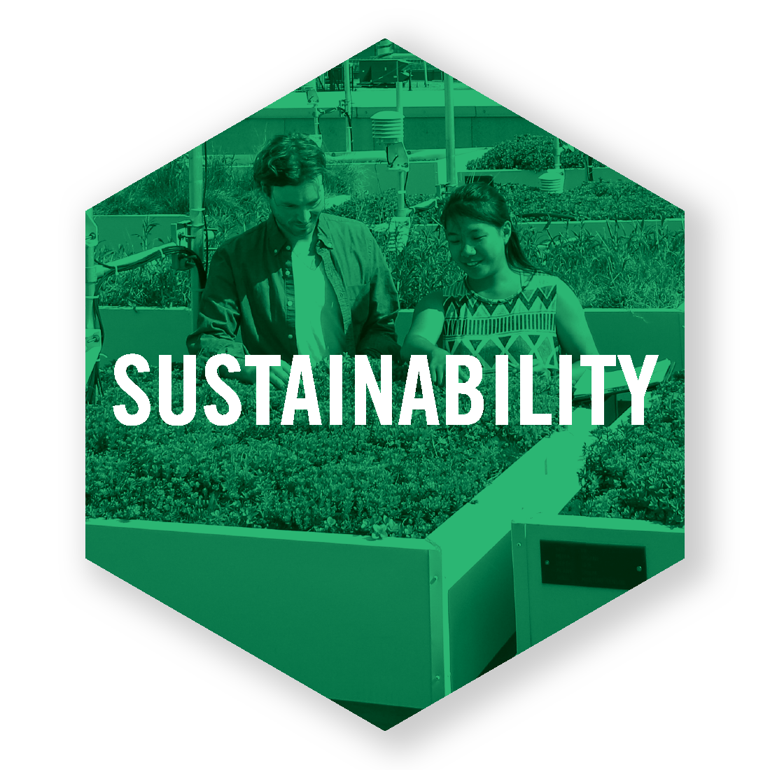 Sustainability