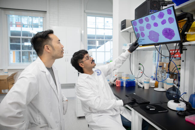 Professor Leo Chou receives Ontario Early Researcher Award to advance vaccine and immunotherapy delivery